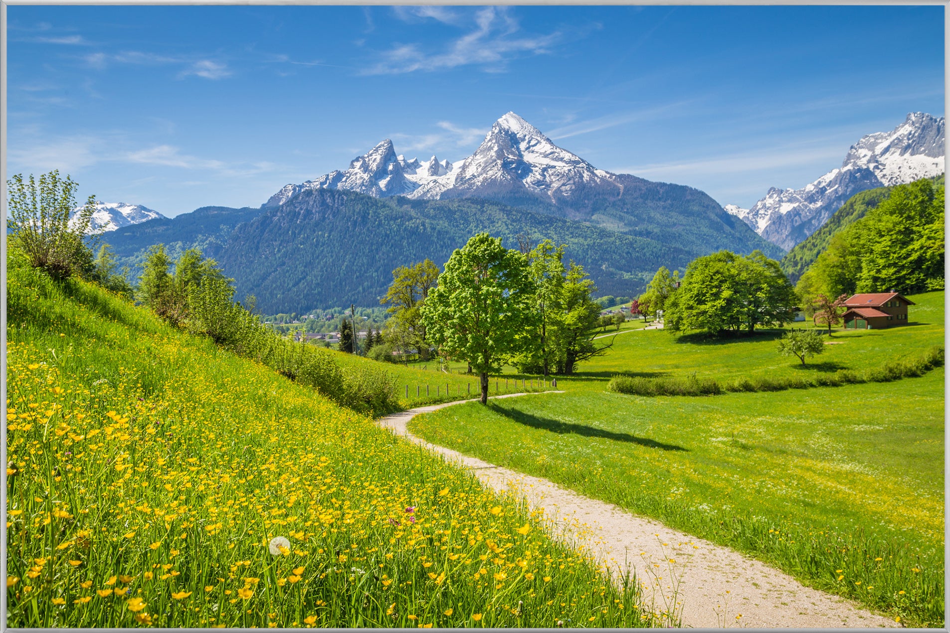 Picture &amp; Frame Green valley in front of snow-capped mountains