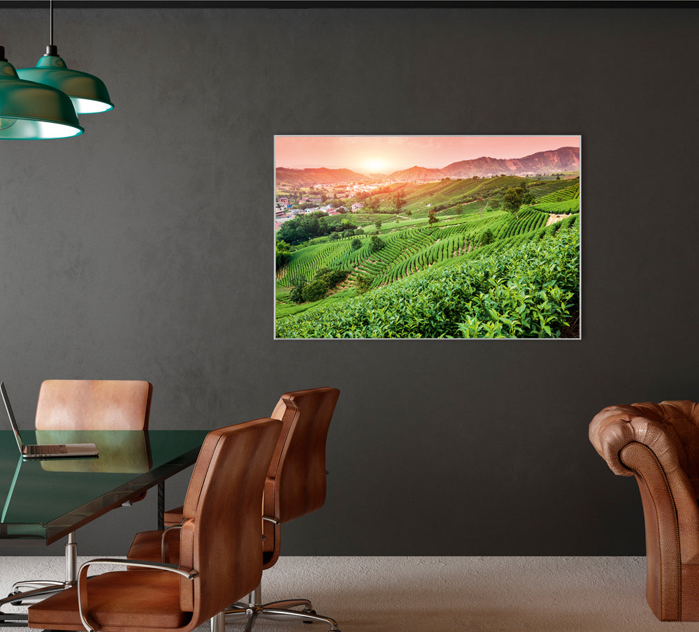 Picture &amp; Frame Vineyards at Sunset