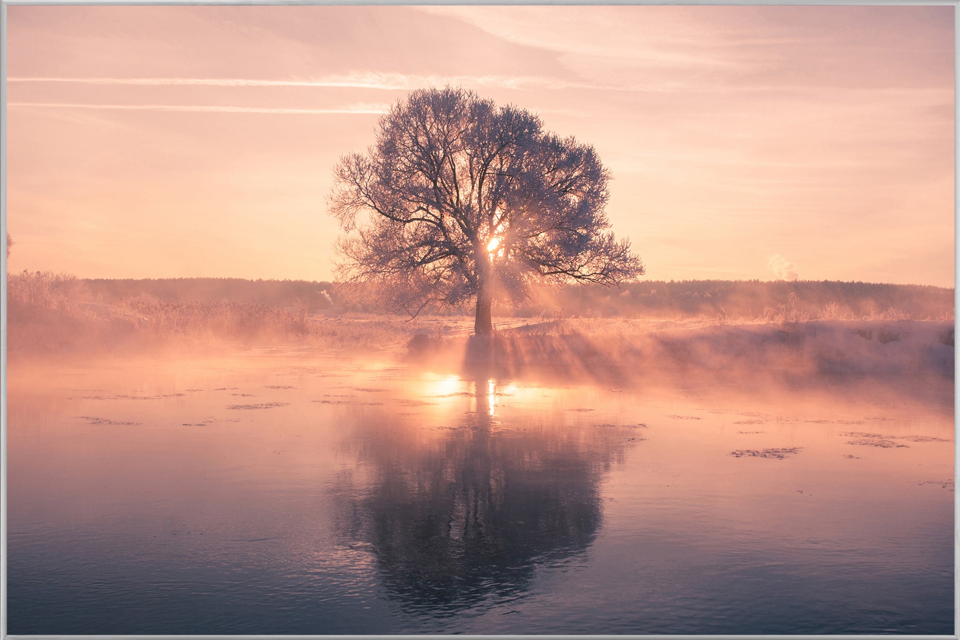 Picture &amp; Frame Tree with Reflection