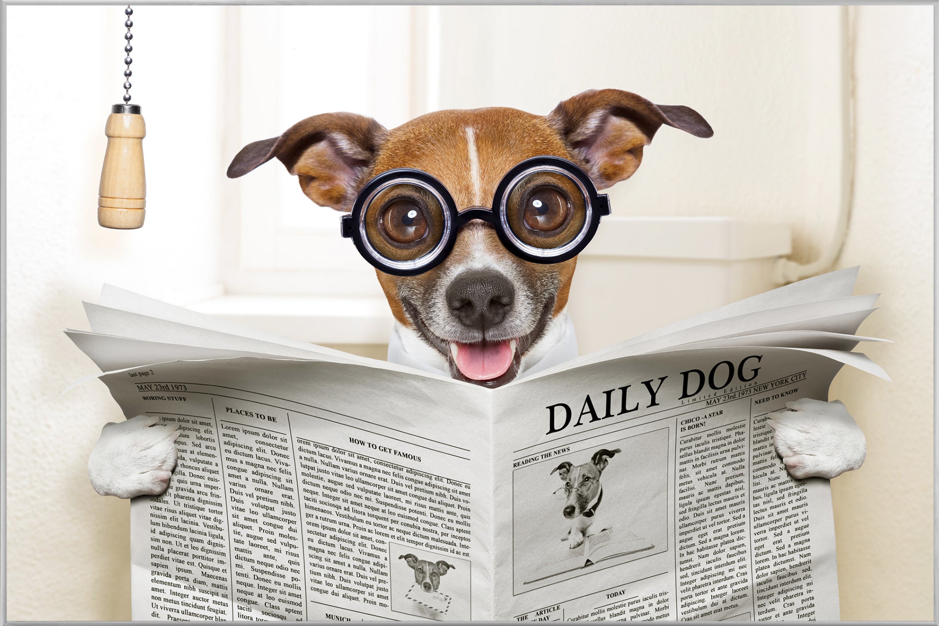 Picture &amp; Frame Dog with Newspaper