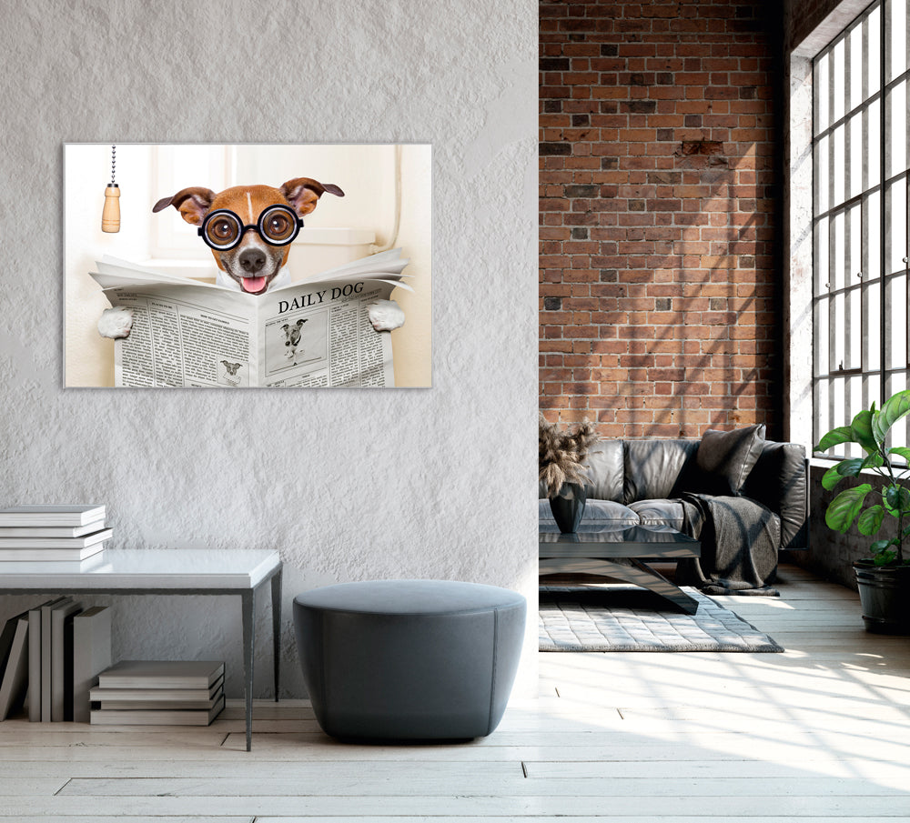 Picture &amp; Frame Dog with Newspaper