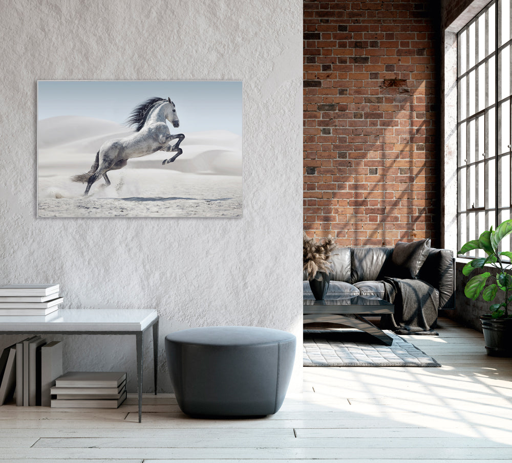 Picture &amp; Frame Wild Horse