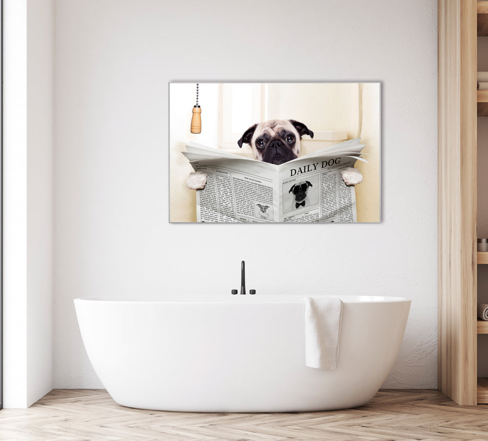 Picture &amp; Frame Pug with Newspaper