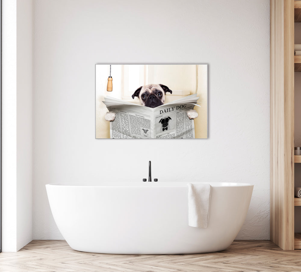 Picture &amp; Frame Pug with Newspaper