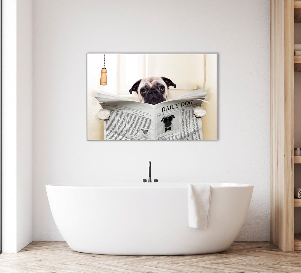Picture &amp; Frame Pug with Newspaper