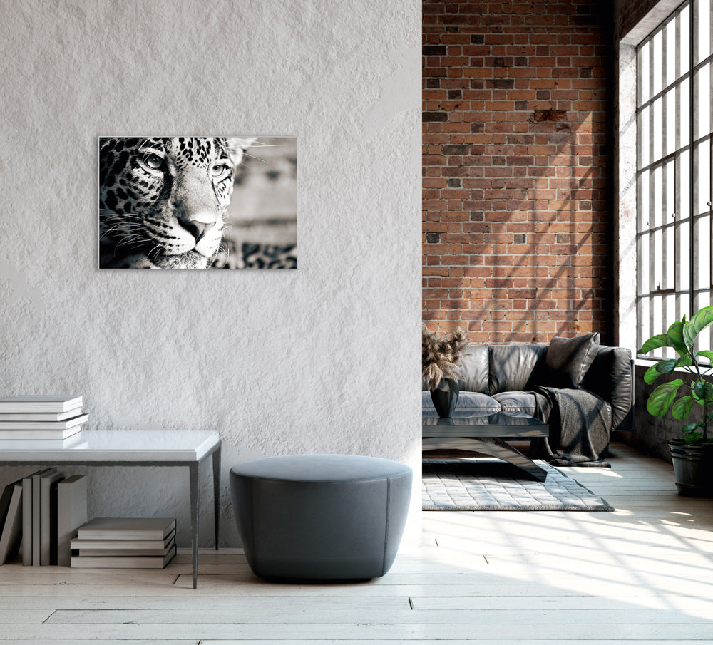 Picture &amp; Frame Leopard