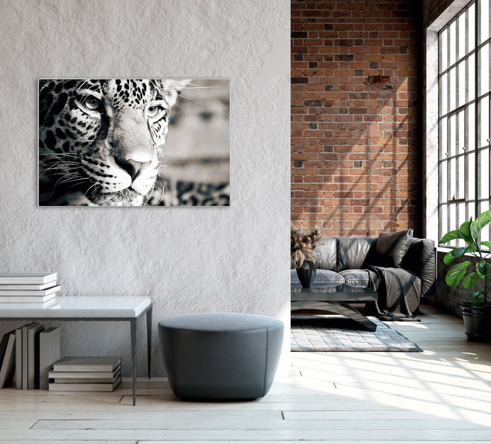 Picture &amp; Frame Leopard