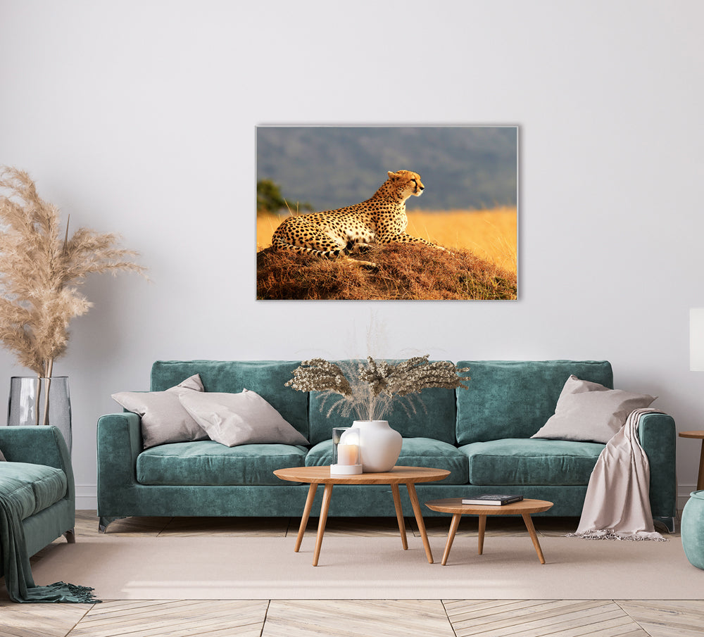 Picture &amp; Frame Cheetah