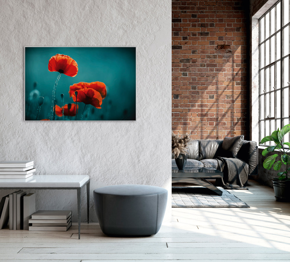 Picture &amp; Frame Poppies 5