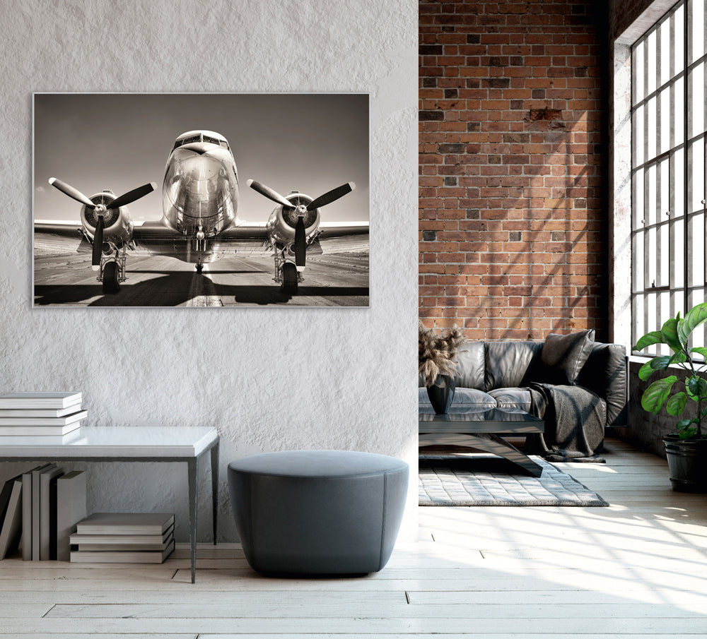 Picture &amp; Frame Airplane
