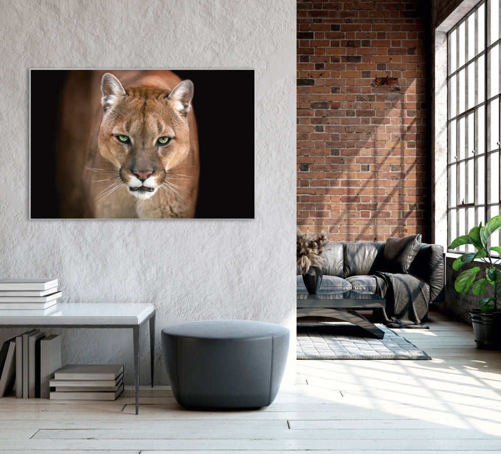 Picture &amp; Frame Puma