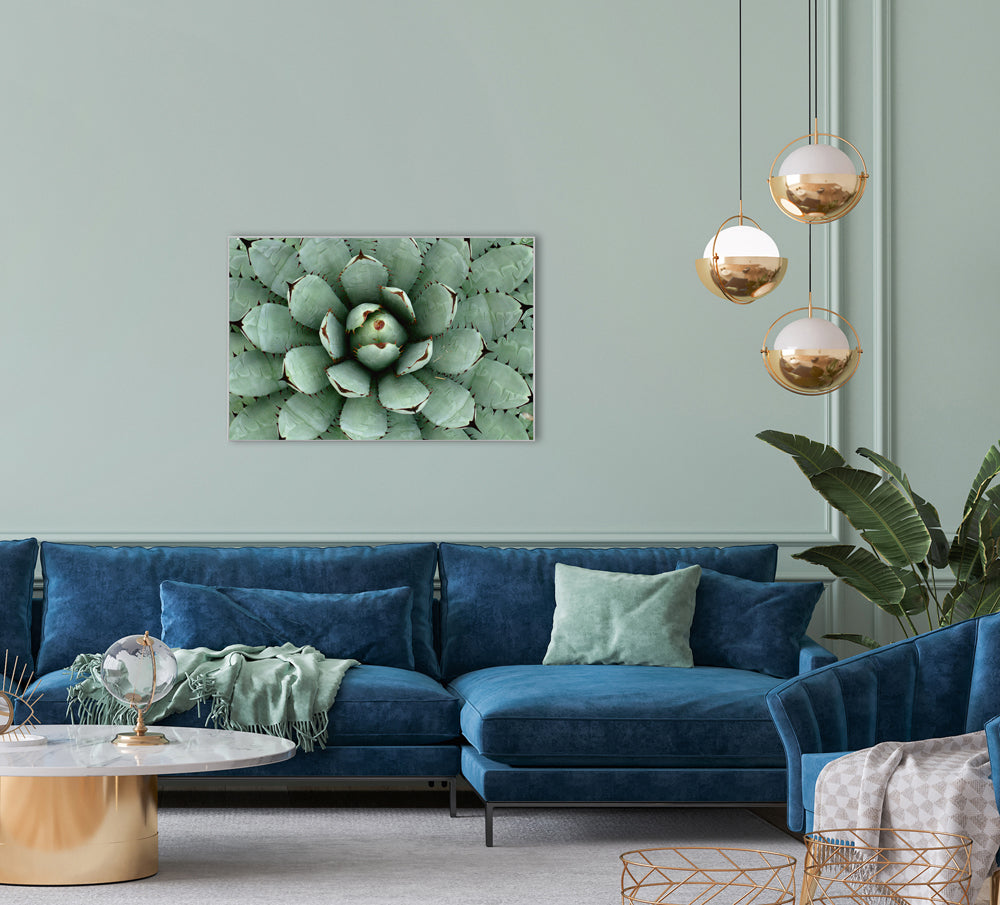 Picture &amp; Frame Agave