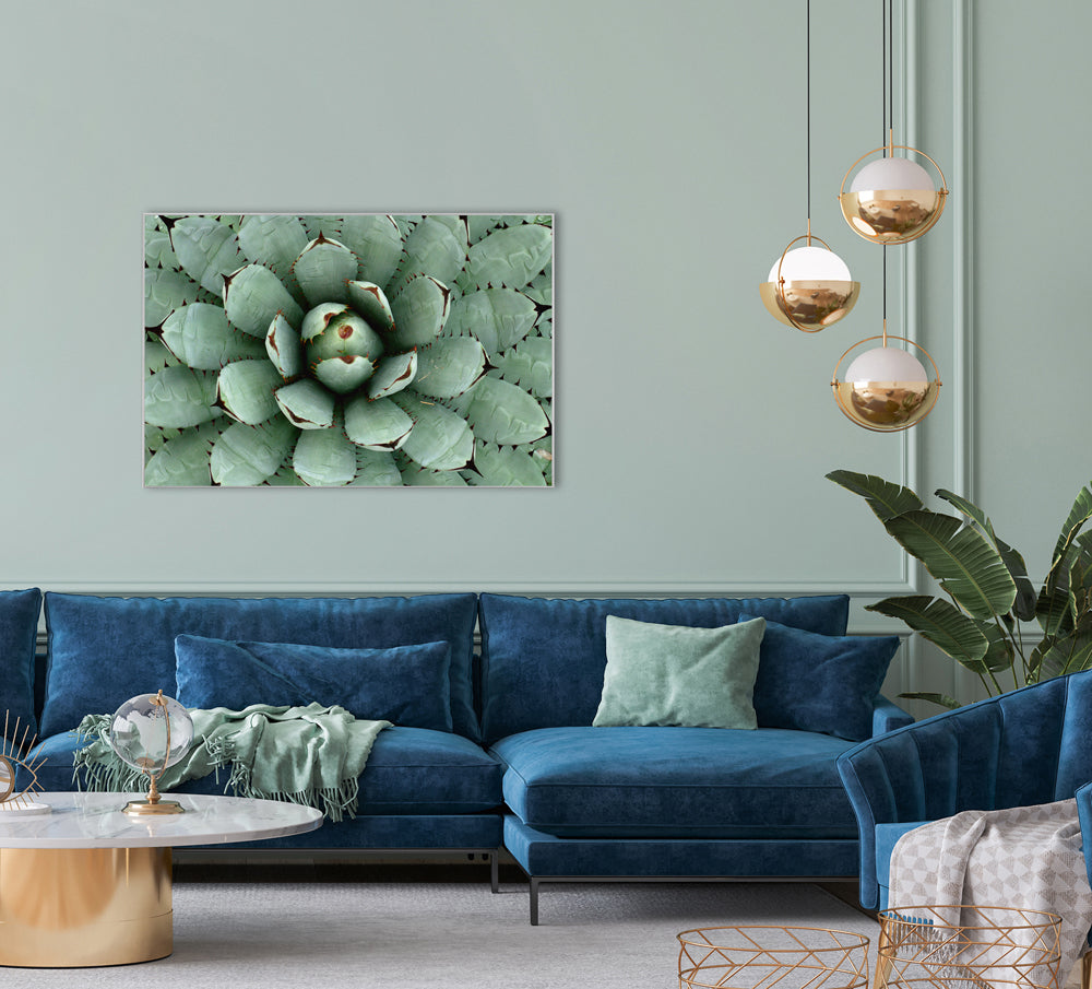 Picture &amp; Frame Agave