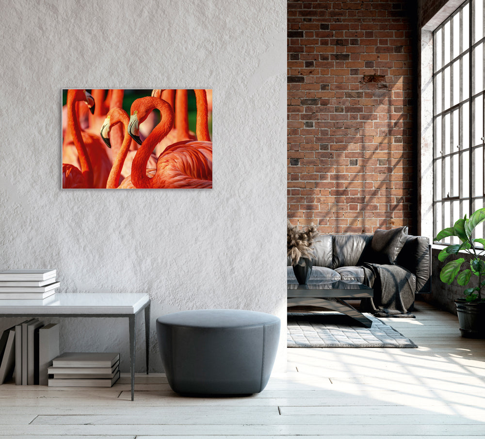Picture &amp; Frame Flamingos