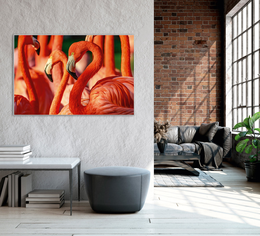 Picture &amp; Frame Flamingos