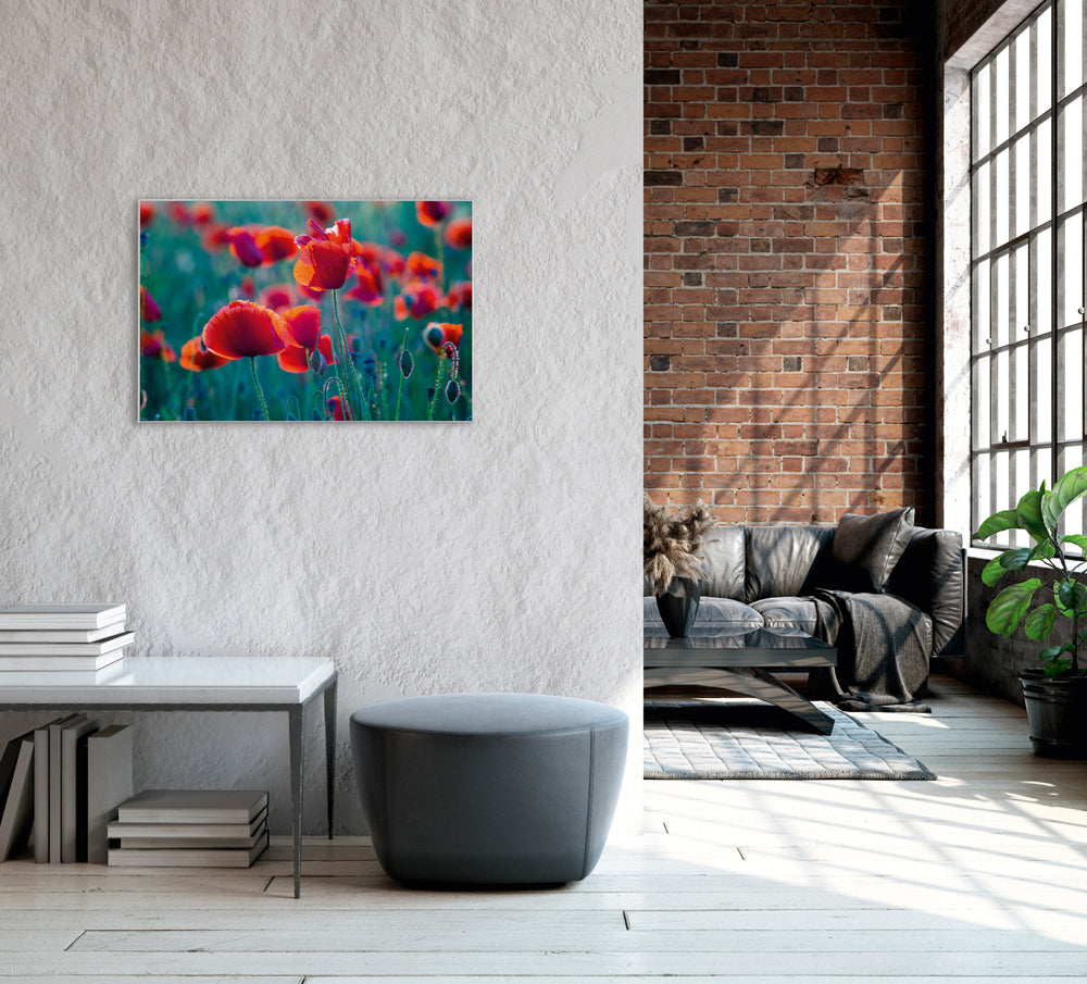 Picture &amp; Frame Poppy Field