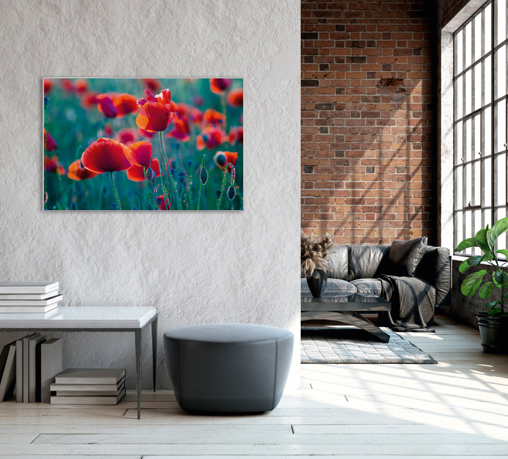 Picture &amp; Frame Poppy Field