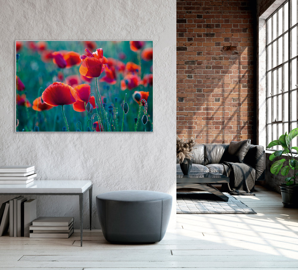 Picture &amp; Frame Poppy Field