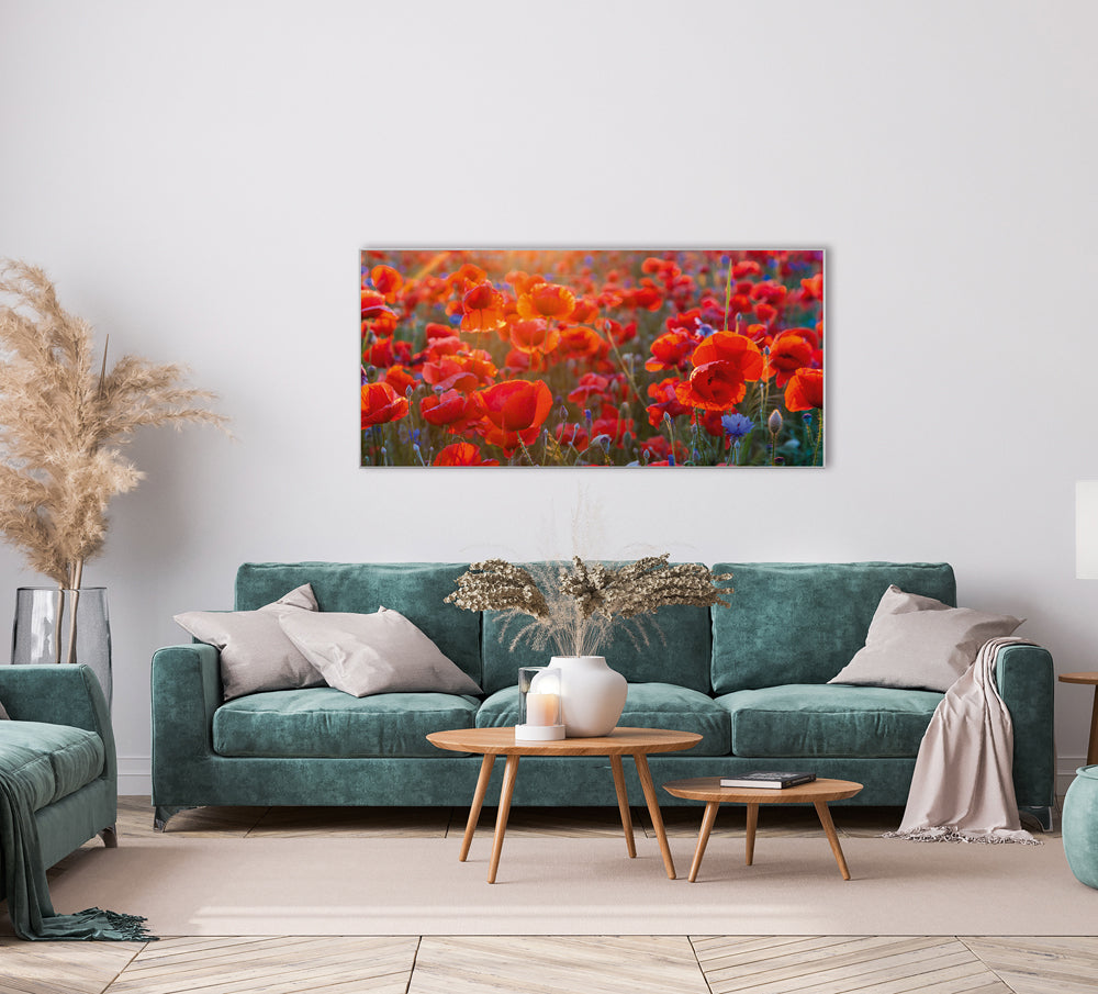 Image et cadre Coquelicots 6