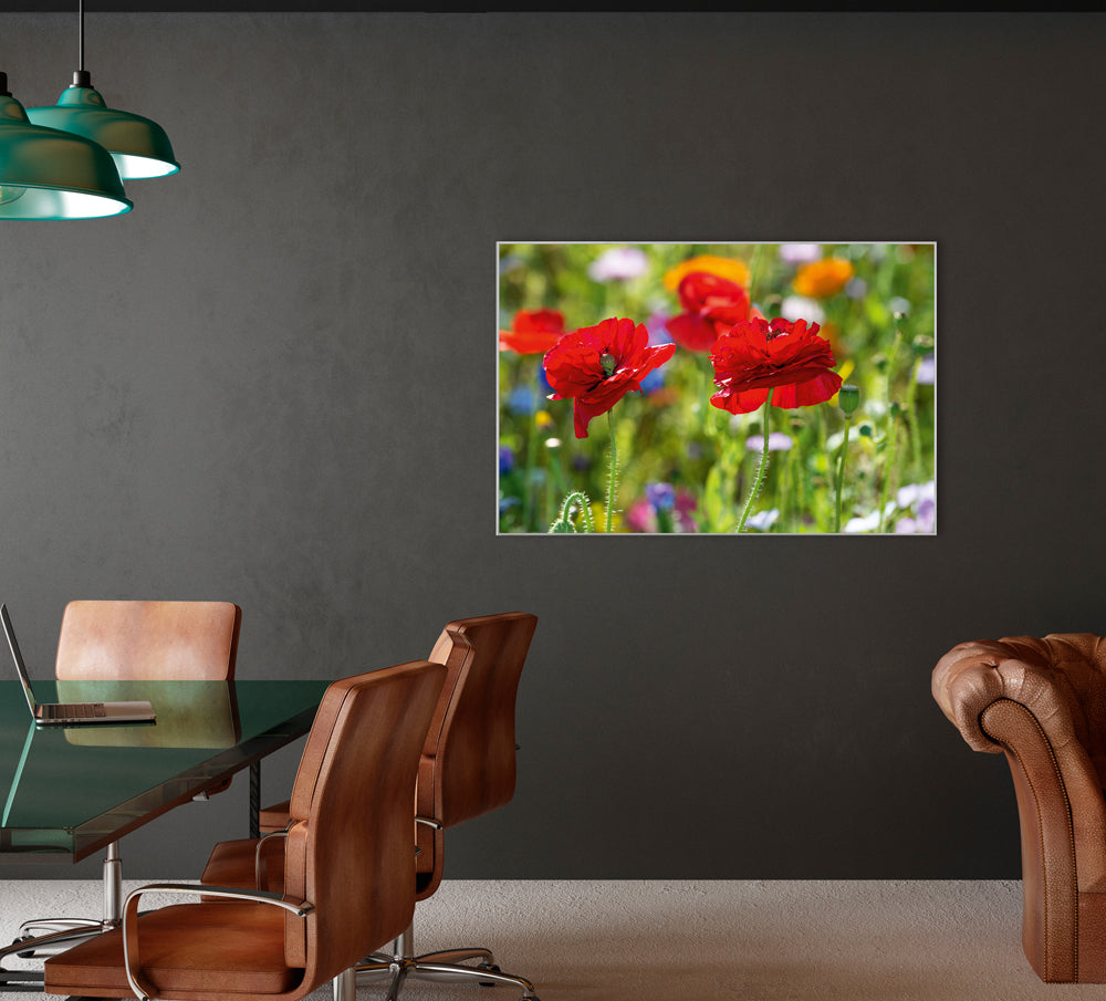 Picture &amp; Frame Poppies 2