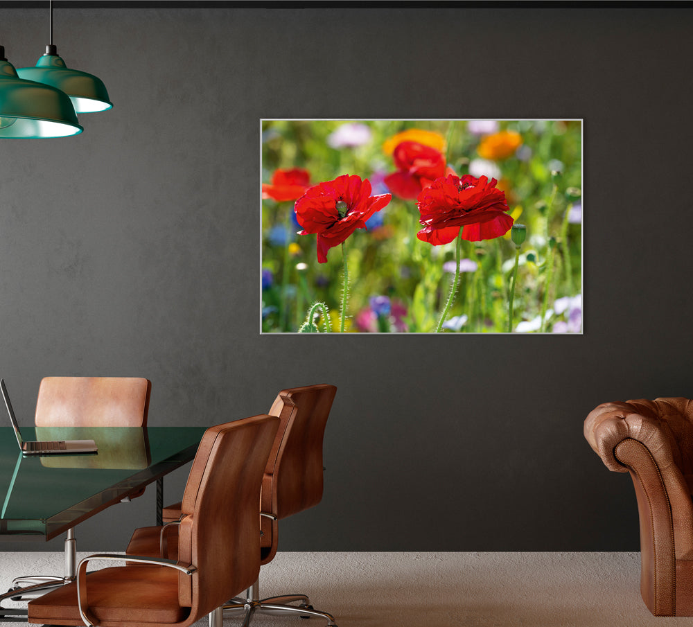 Picture &amp; Frame Poppies 2
