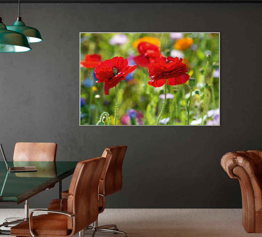 Picture &amp; Frame Poppies 2