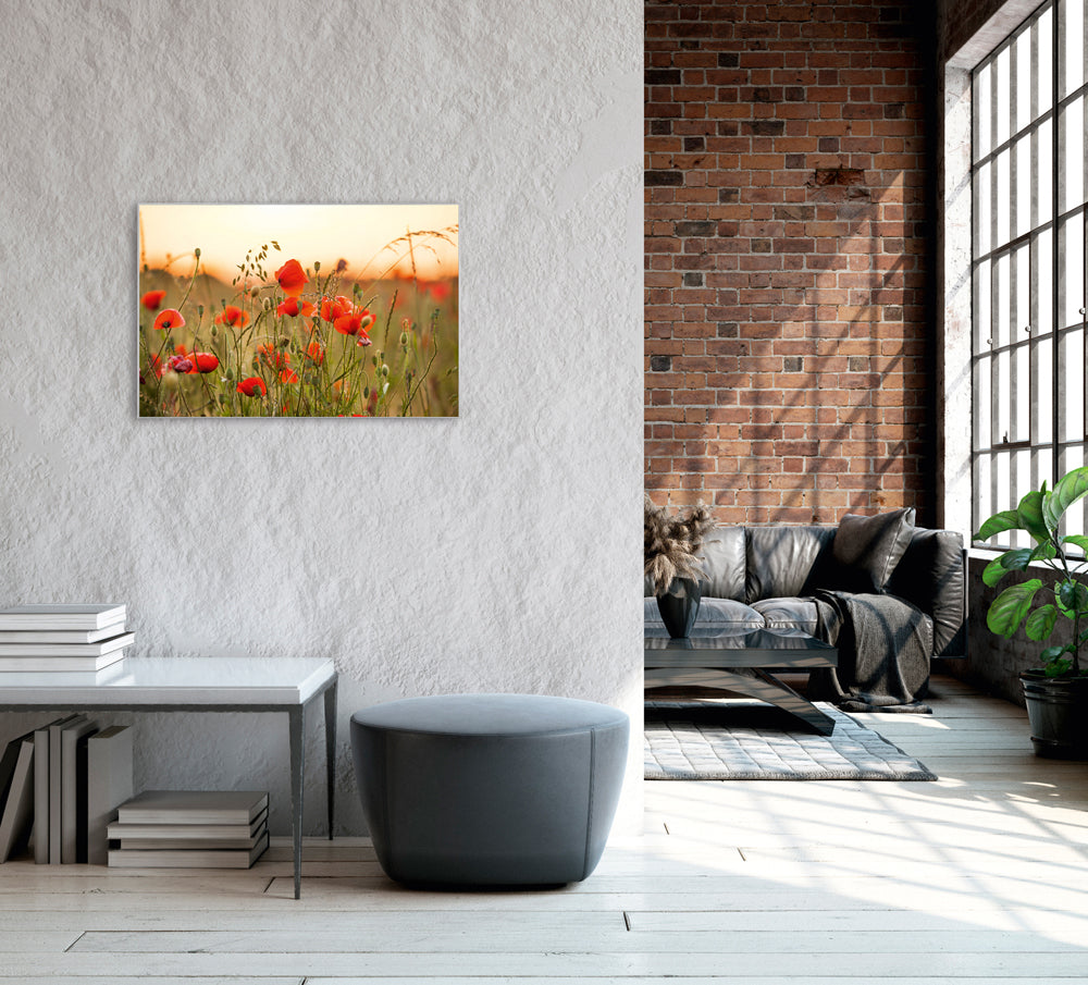 Picture &amp; Frame Poppies 3
