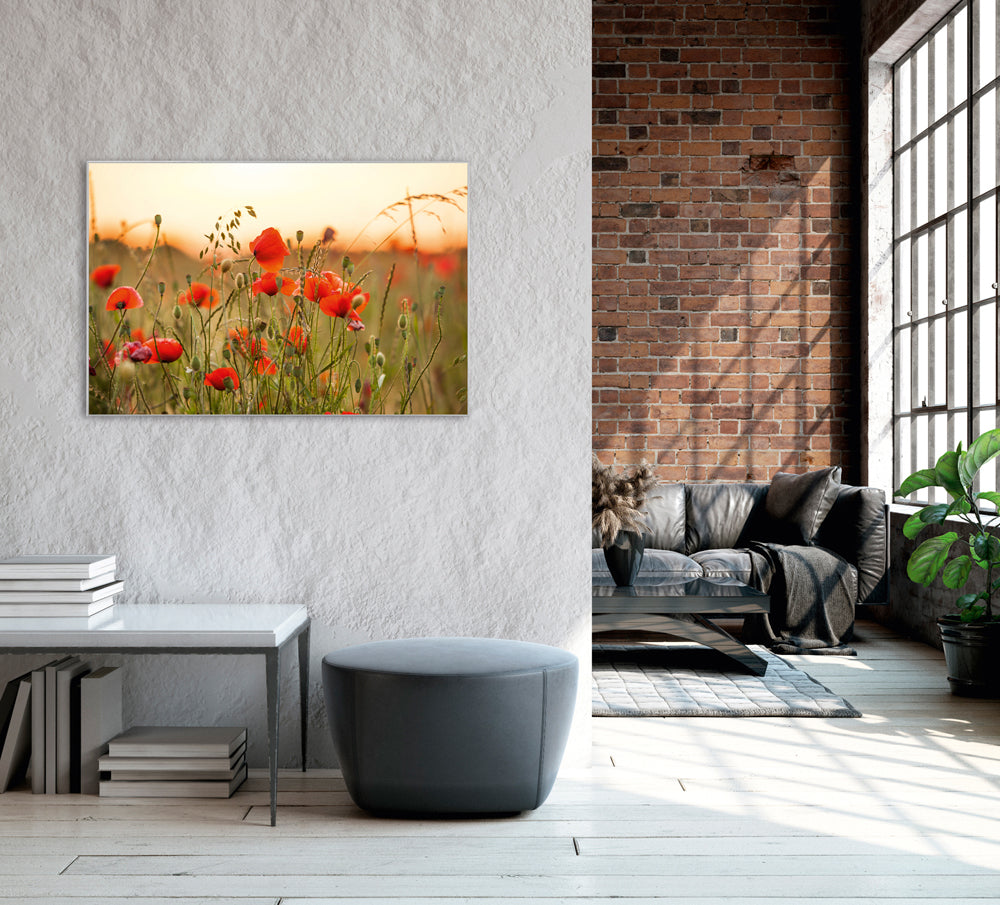 Picture &amp; Frame Poppies 3