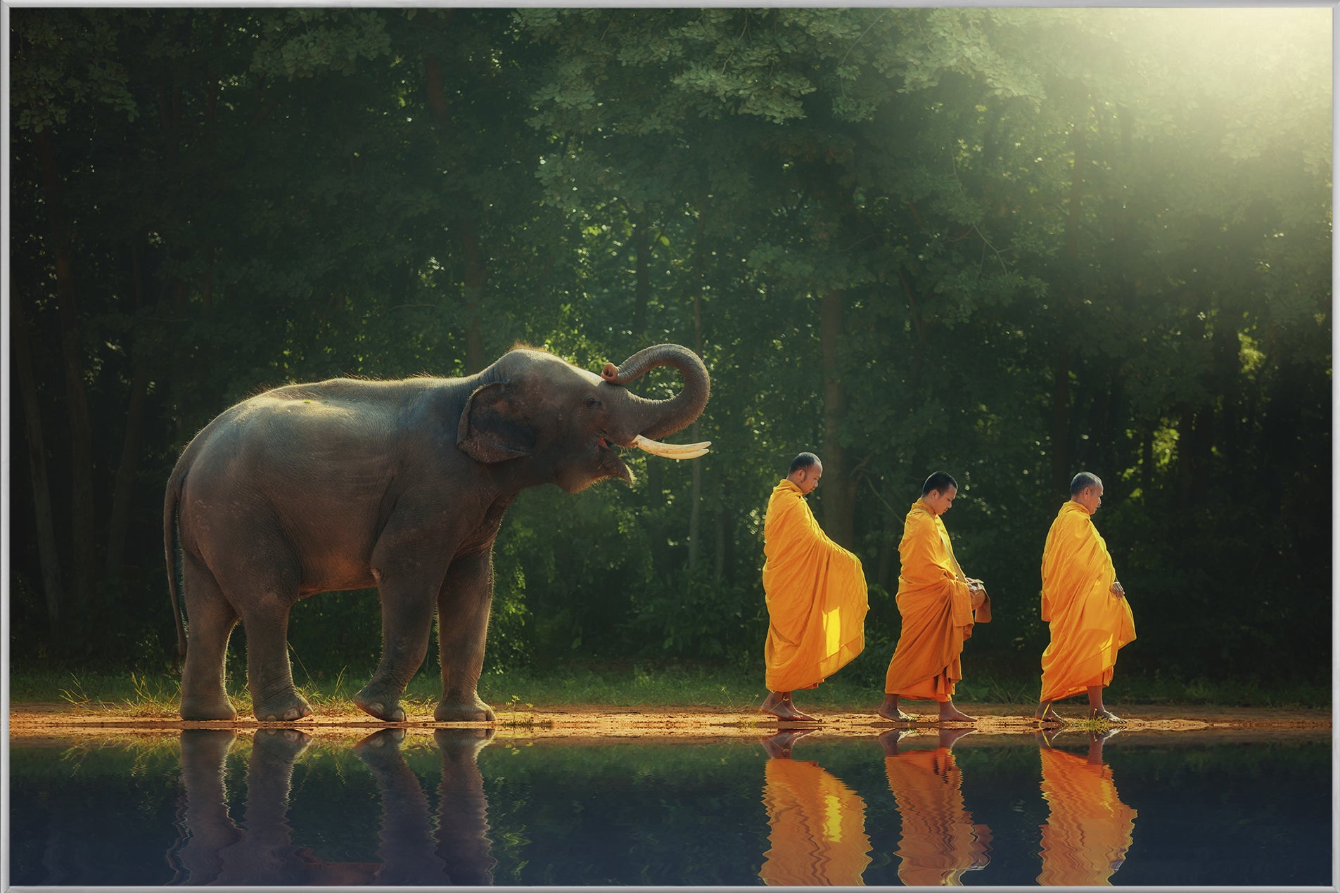 Picture &amp; Frame Monk Walk with Elephant