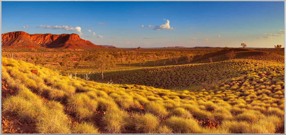 Picture &amp; Frame Arizona