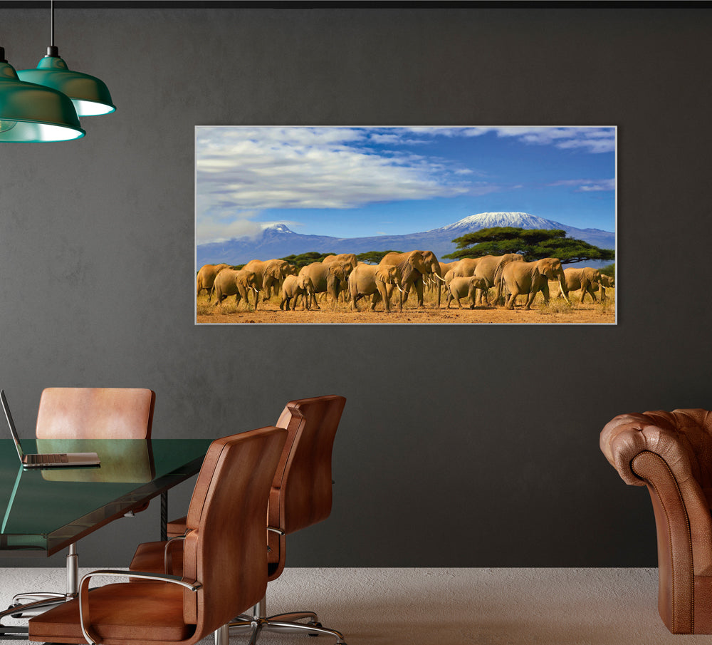 Picture &amp; Frame Large elephant family in the savannah