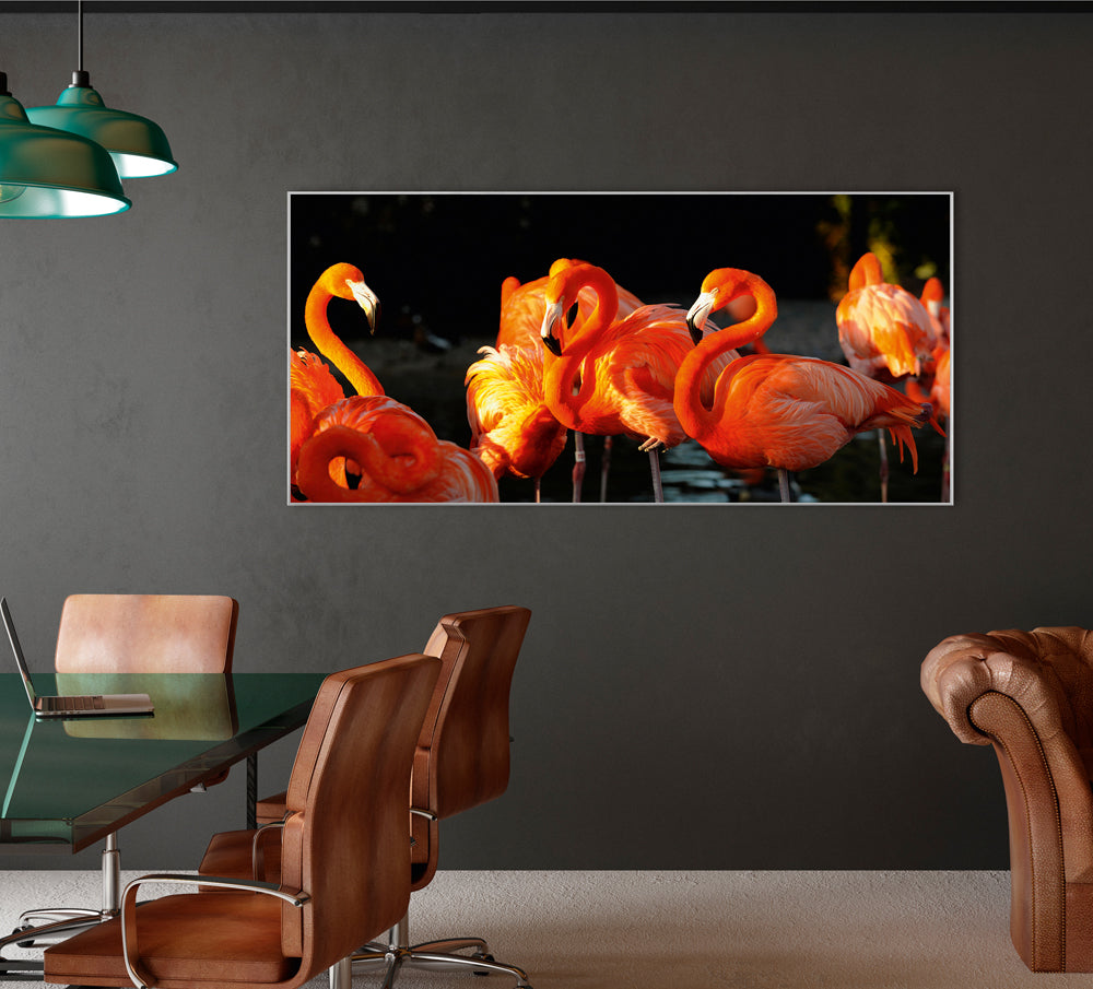 Picture &amp; Frame Flamingos