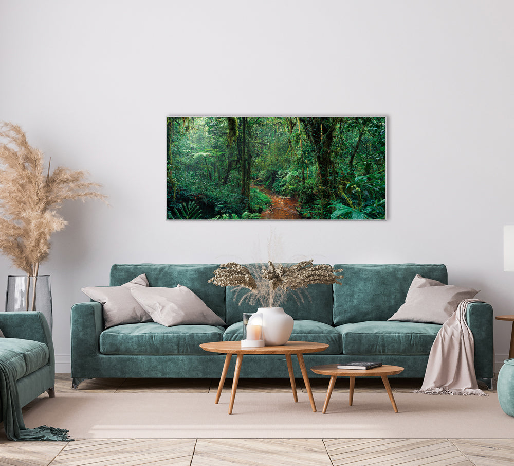 Picture &amp; Frame In The Jungle