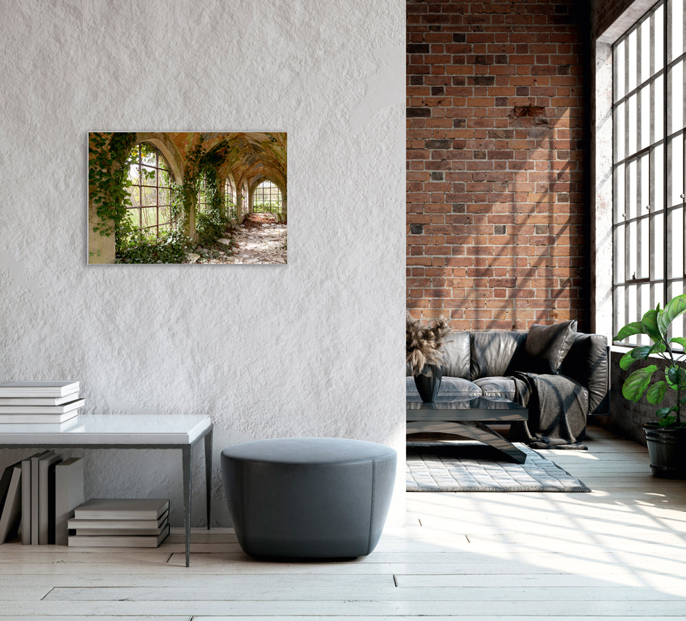Picture &amp; Frame Abandoned Hallway