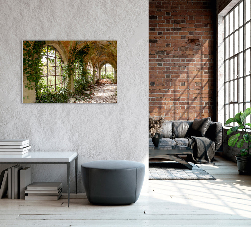 Picture &amp; Frame Abandoned Hallway