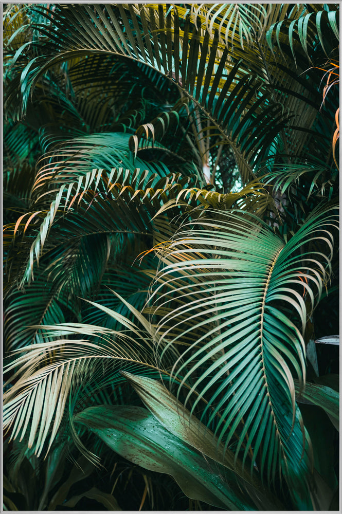 Picture &amp; Frame Green Plants