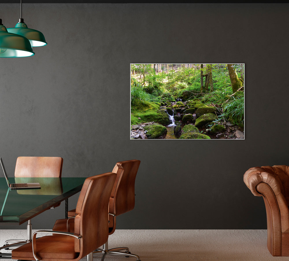 Picture &amp; Frame River in the Forest 2
