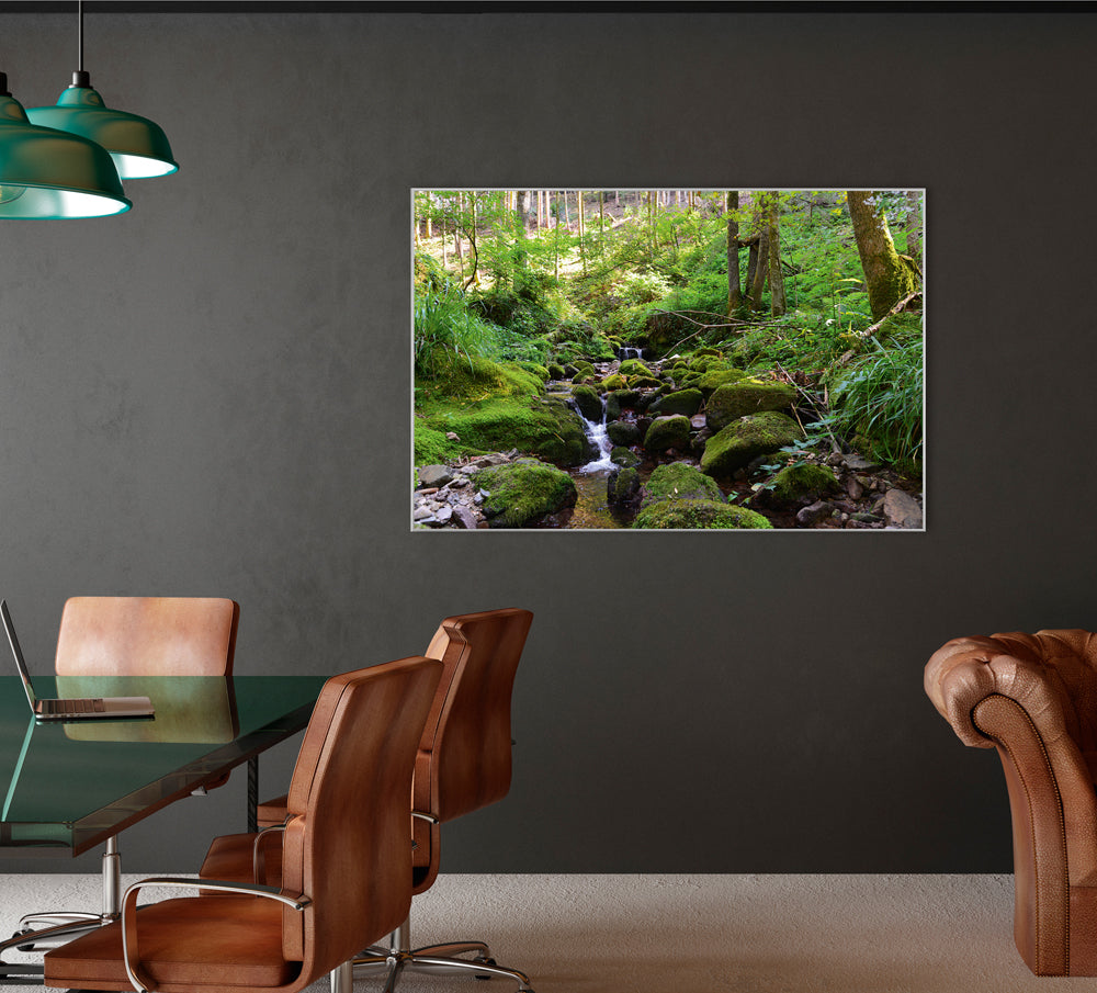 Picture &amp; Frame River in the Forest 2