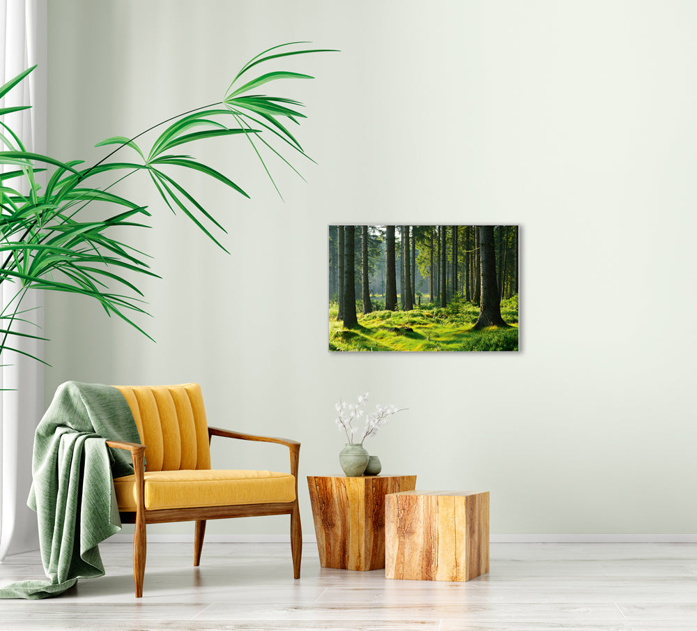 Picture &amp; Frame Hochwald