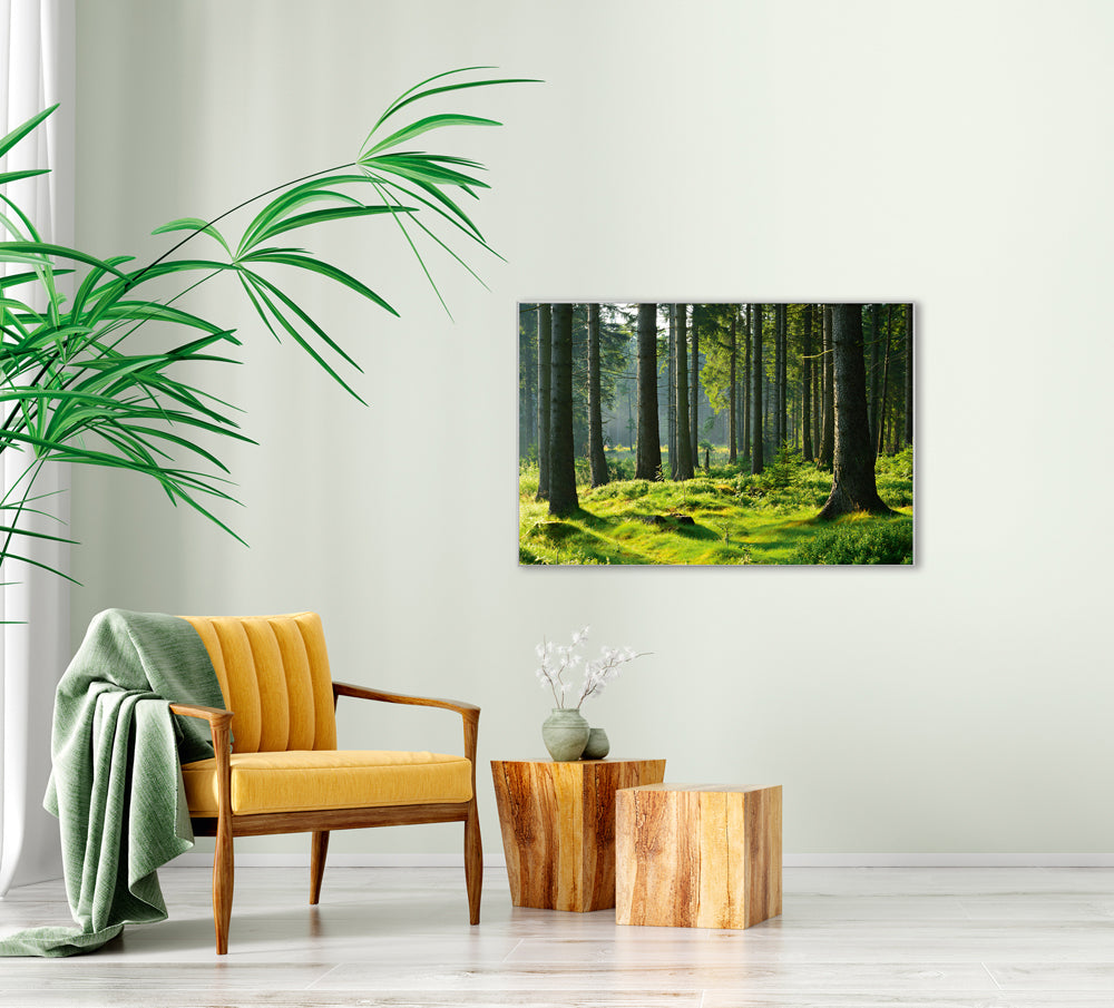 Picture &amp; Frame Hochwald