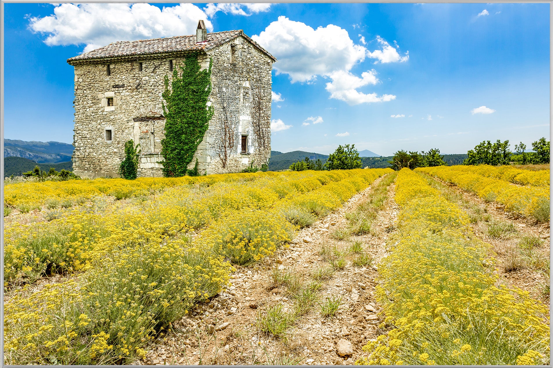 Picture &amp; Frame Farmhouse in Tuscany