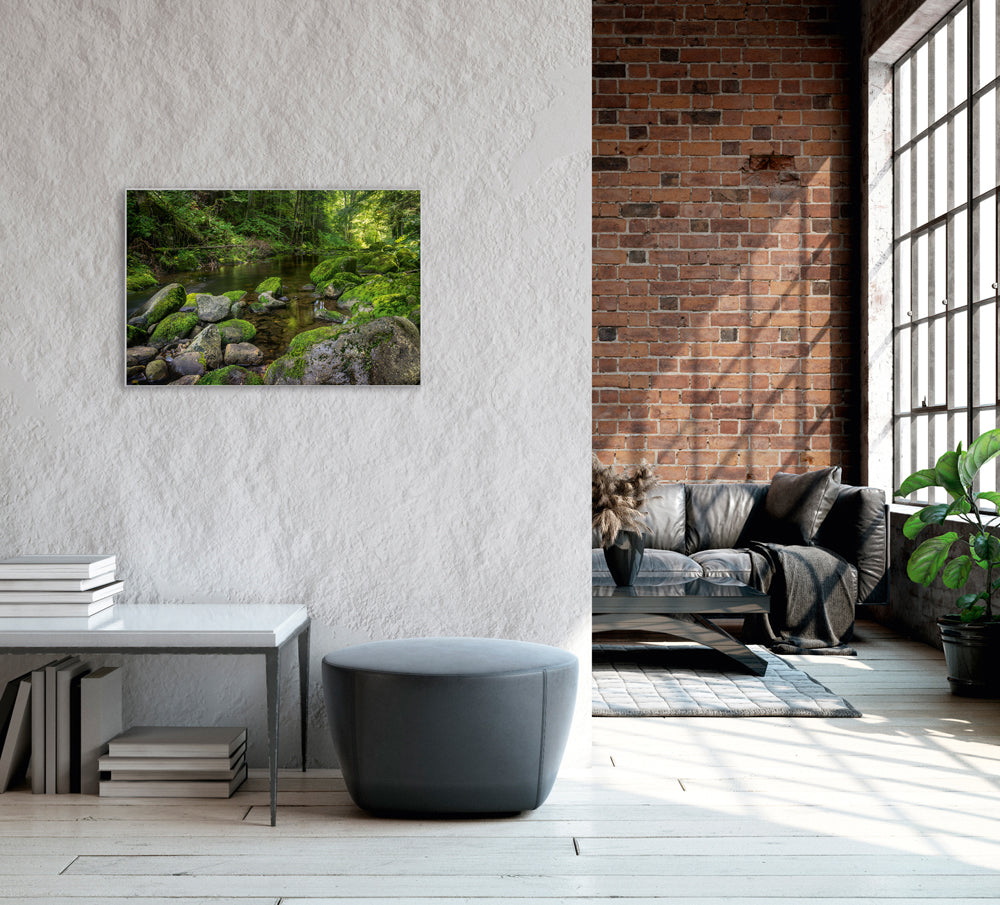 Picture &amp; Frame River in the Forest 3