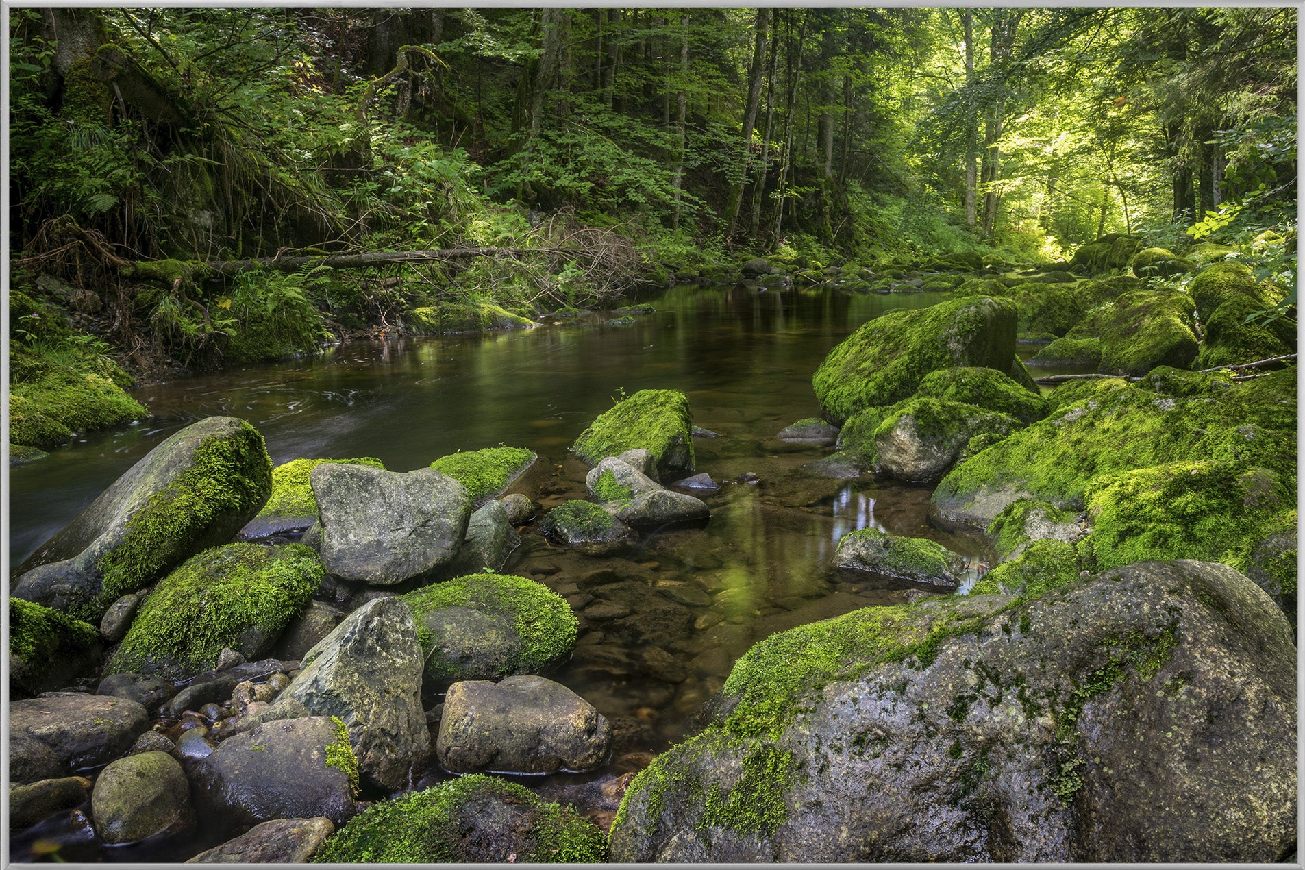 Picture &amp; Frame River in the Forest 3
