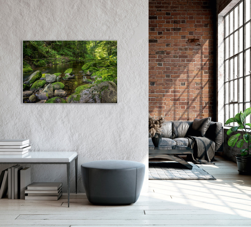 Picture &amp; Frame River in the Forest 3