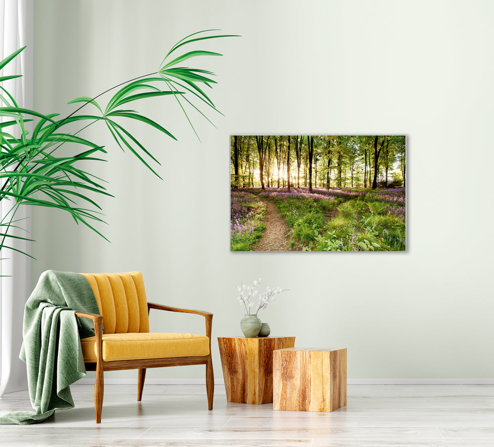 Picture &amp; Frame Forest Path