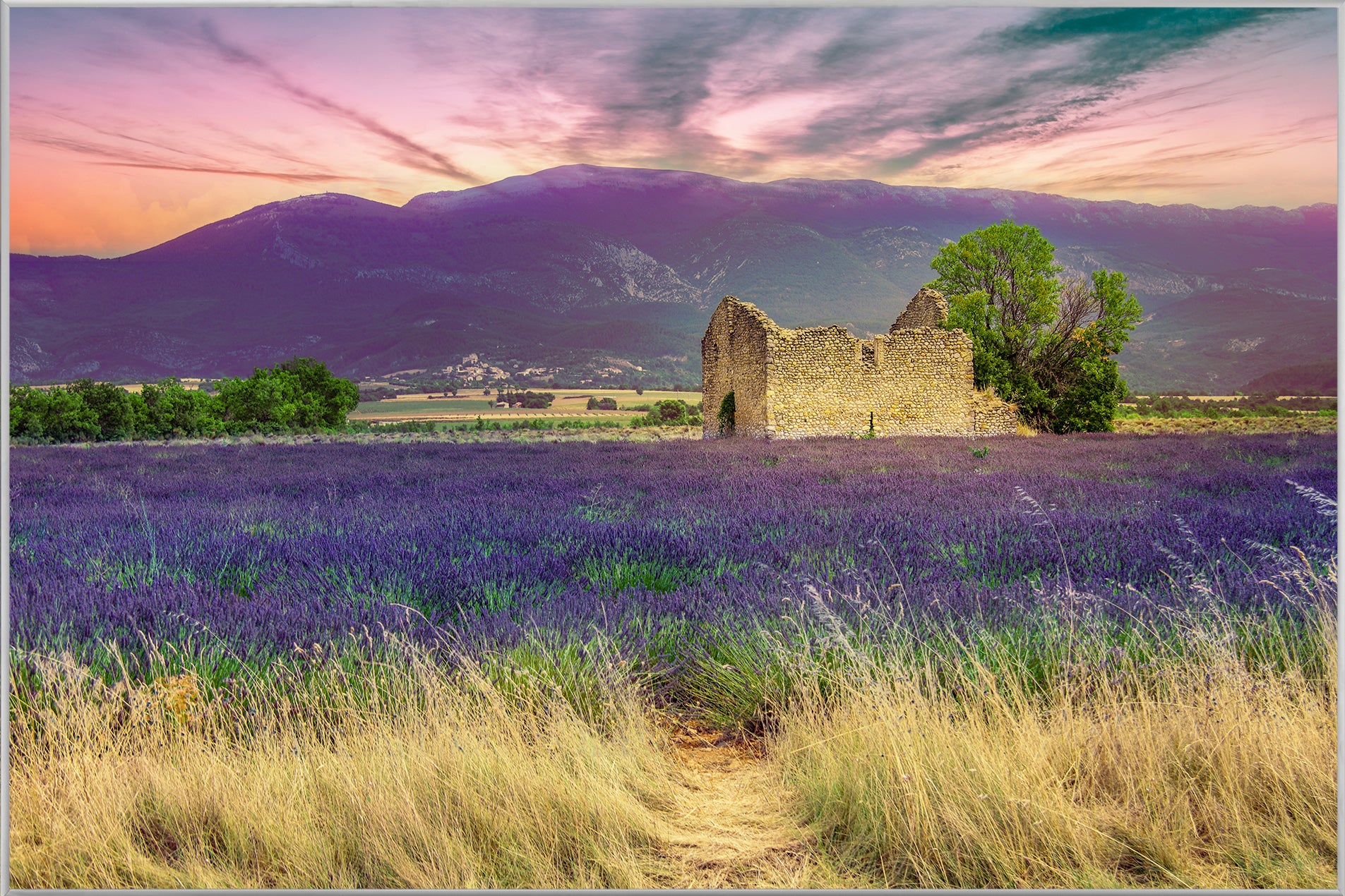 Picture &amp; Frame Lavender Field 9