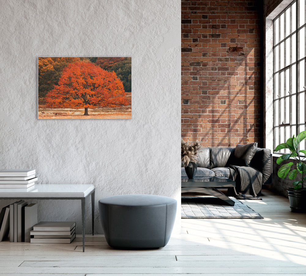 Picture &amp; Frame Autumn Tree