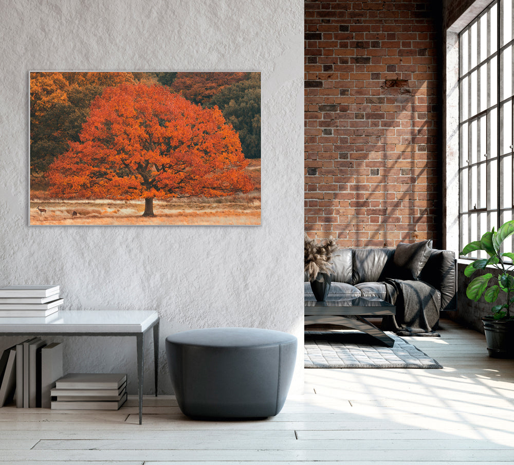 Picture &amp; Frame Autumn Tree