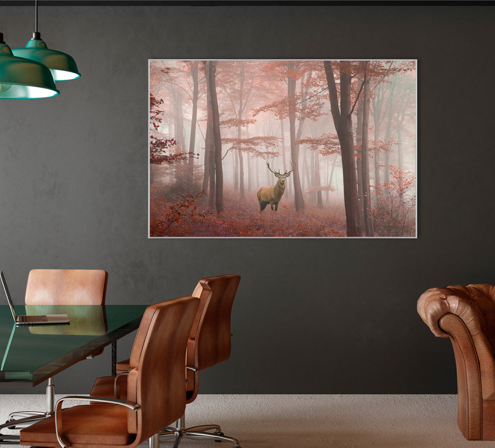 Image et cadre Cerf dans la forêt d'automne