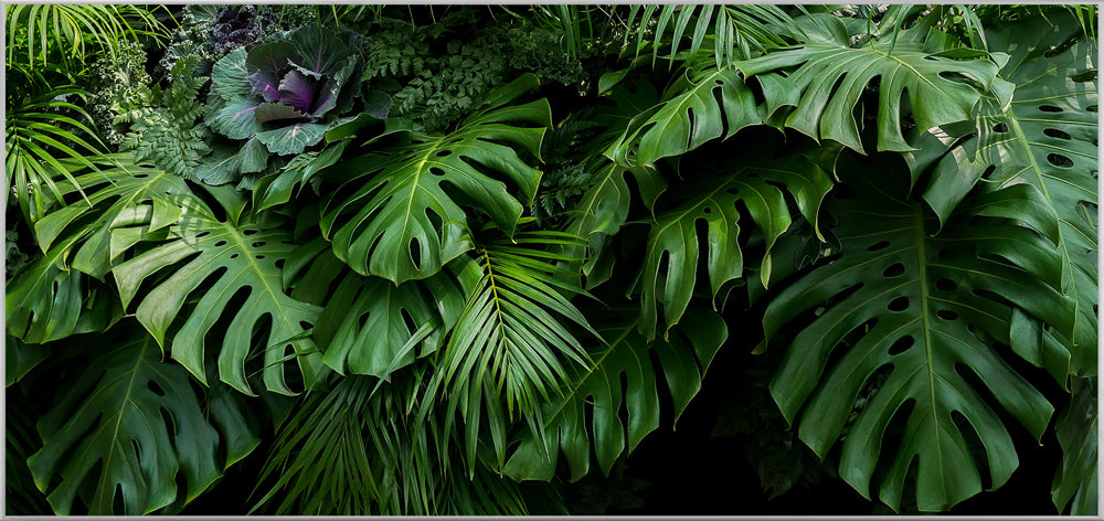Picture &amp; Frame Green Sea of ​​Leaves
